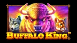 Buffalo King Image