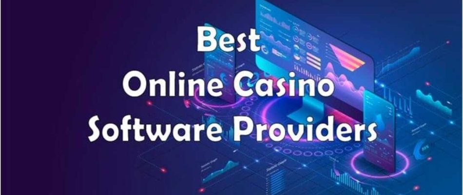 Software Providers: The Backbone of Online Gaming